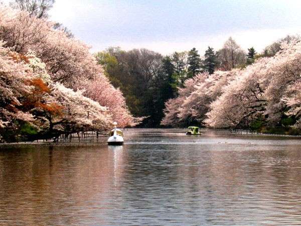 东京北海道